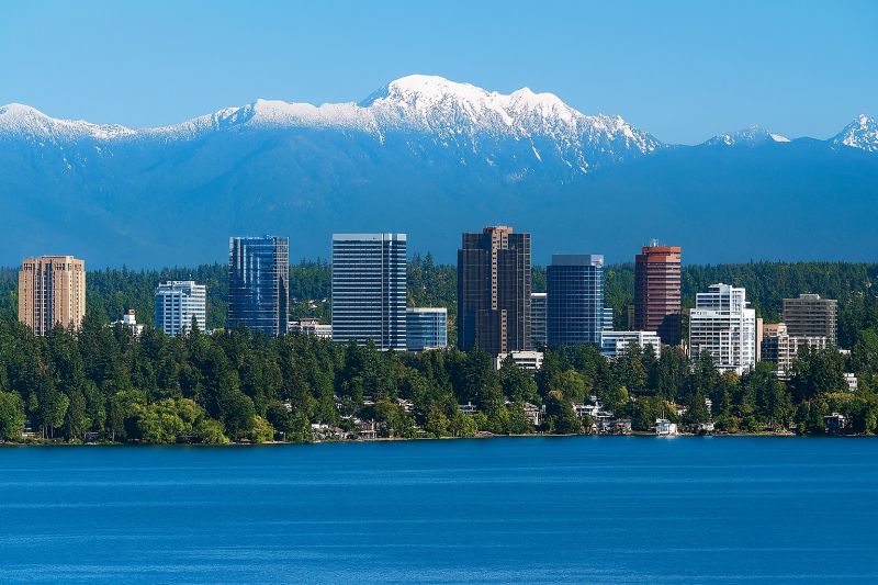 Best Tub To Shower Conversion pros in Renton, WA