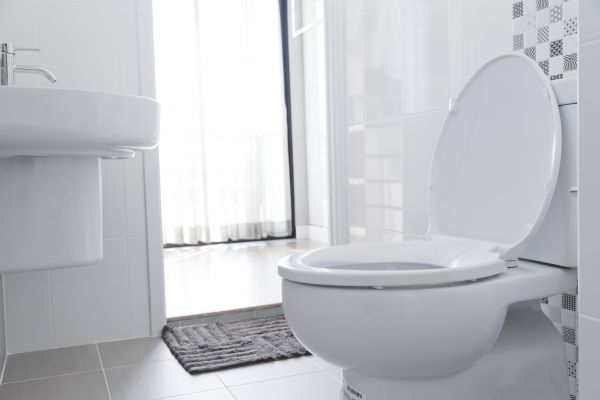 Cost of Toilet Relocation in Port Orchard