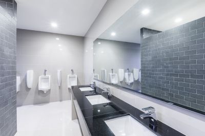 Decorative Bathroom Features